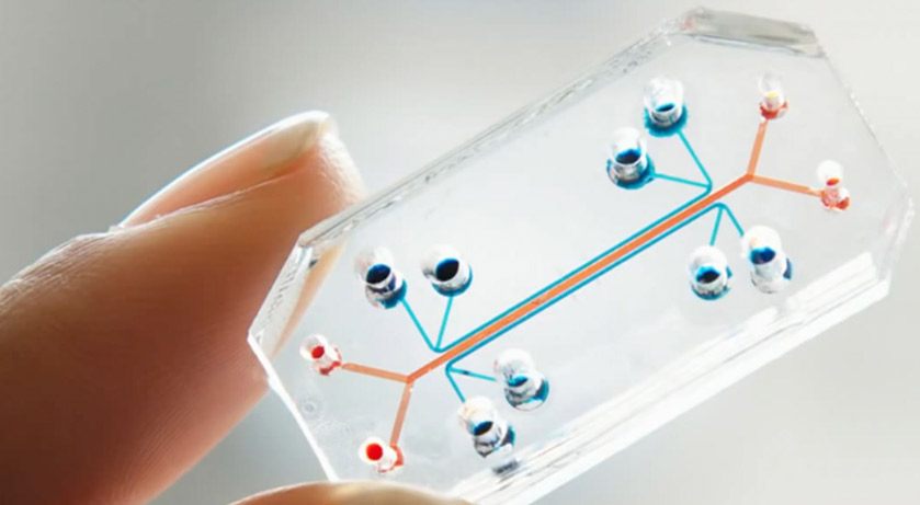 baad2acc0e3a7b764f49aede3054109e.jpg a1.jpg