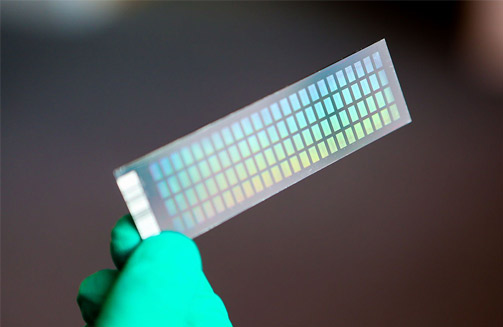 生物芯片的应用领域有哪些