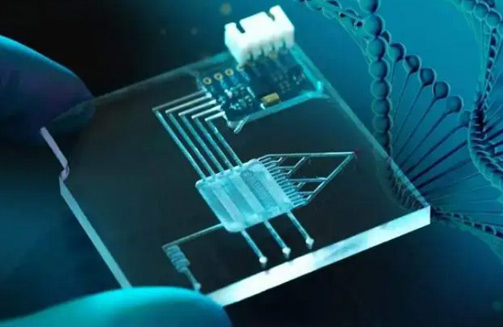 深入解析生物芯片：生物科技的核心工具
