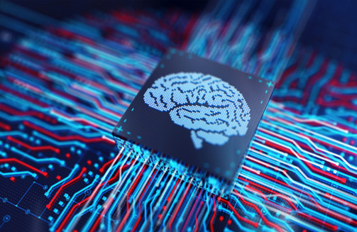 生物芯片的主要类型和生物芯片的制作过程以及生物芯片的工作原理是什么?