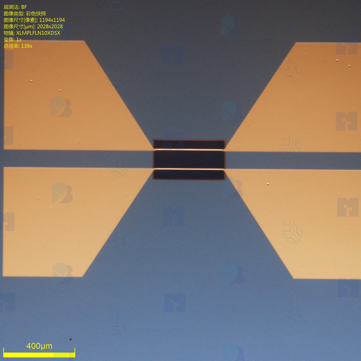 氮化硅悬空膜器件（氮化硅窗口片等）