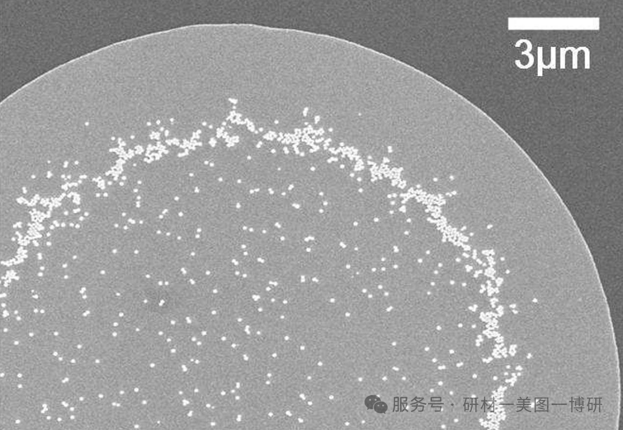 4724a6853aaf86ed417c21cb460348ad.png 微信图片_2026-02-25_141619_069.png