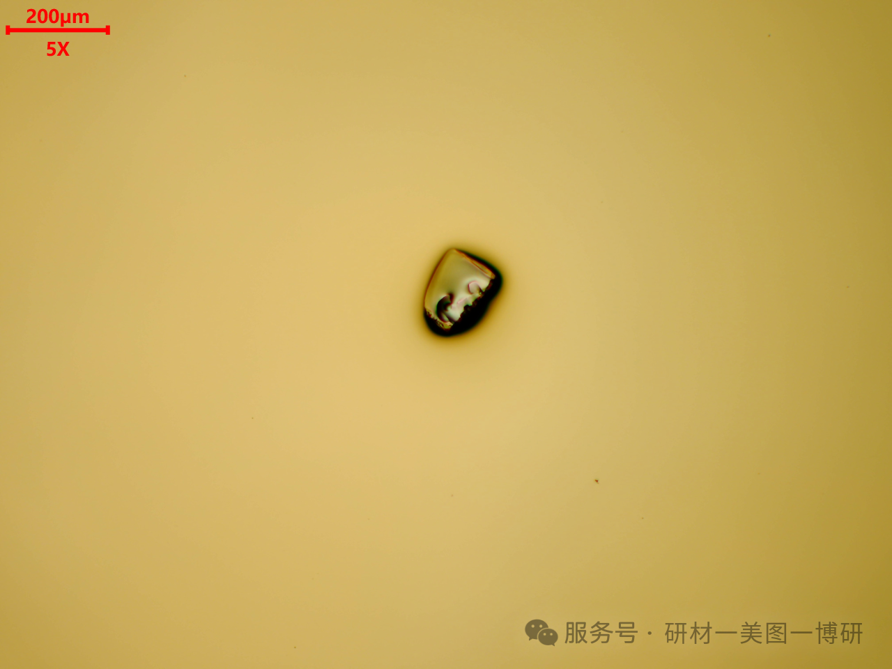 f4e40657533ad681e9f9cbb91c16862c.png 微信图片_2026-02-25_141636_589.png